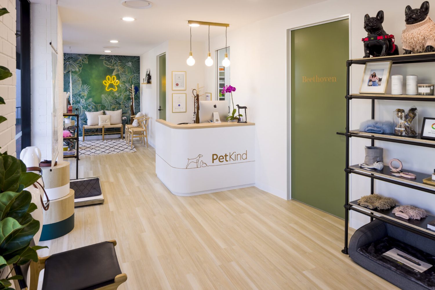 Reception counter beside retail shelving and a painted botanical wall, with pendant lights and a pale timber floor